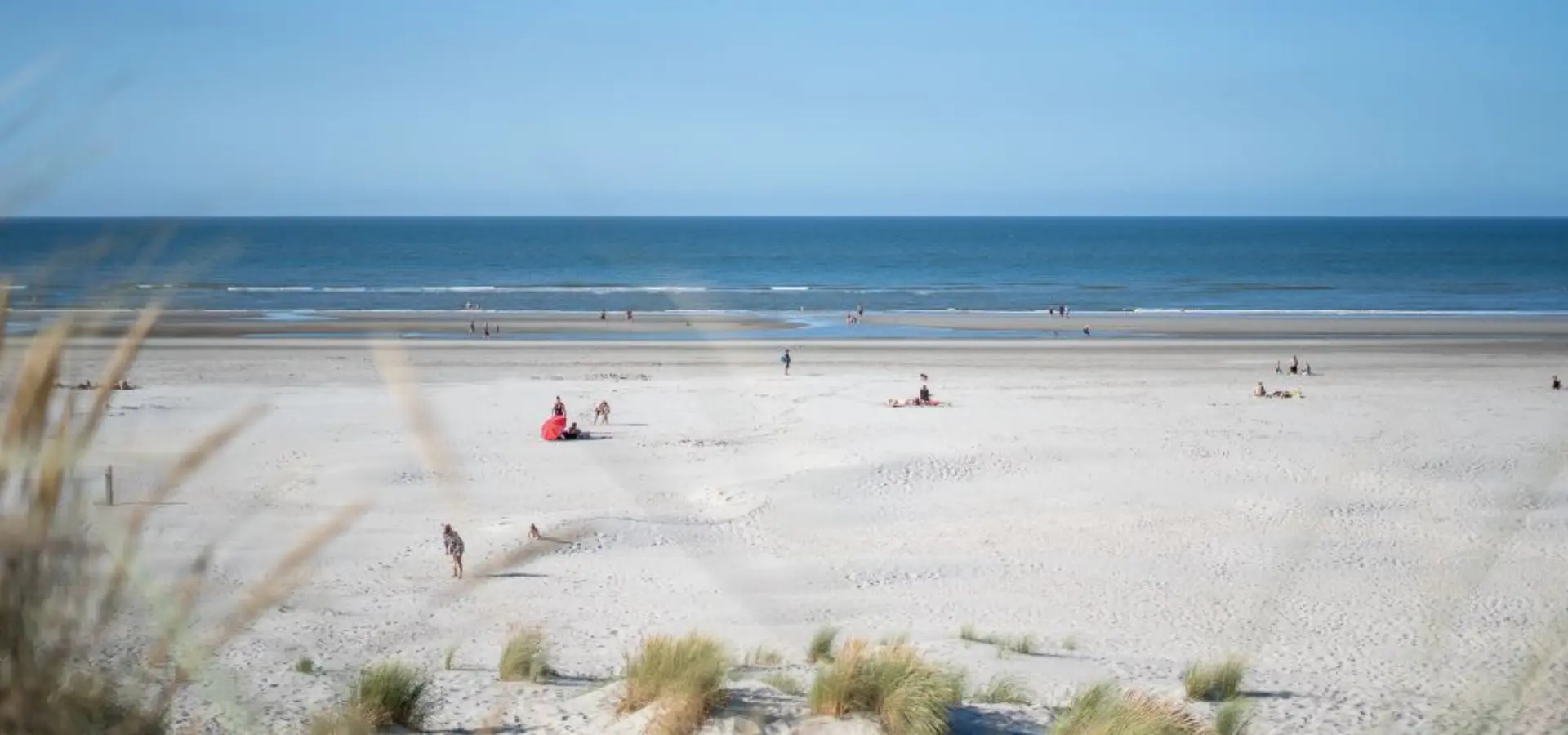 Strand Waddenzee Ameland