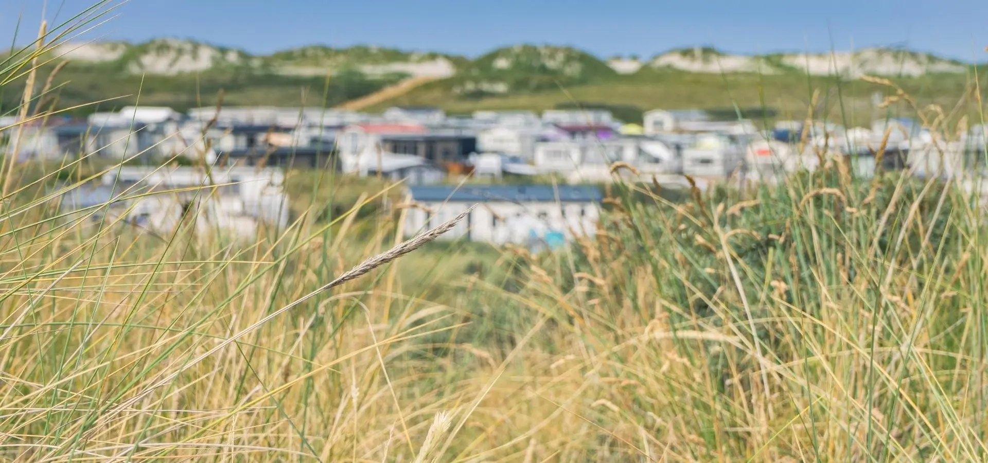 Helmgras chalets overzicht Strandcamping Duinoord